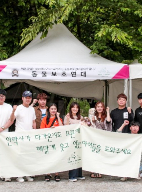 동물보호연대